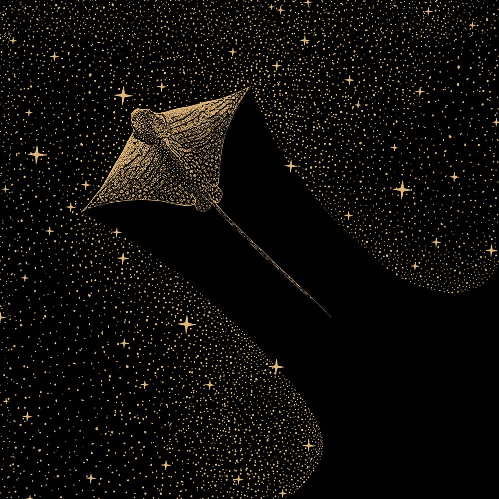 Águila cósmica de Alirıza ÇAKIR