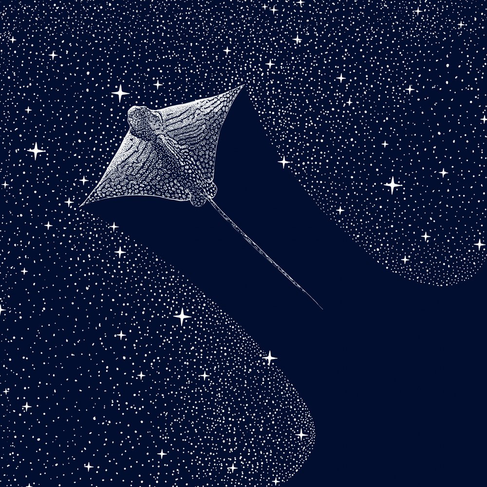 Águila cósmica de Alirıza ÇAKIR