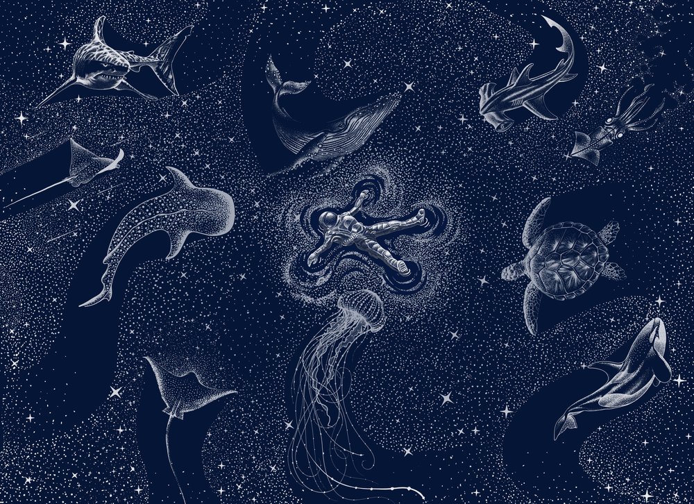 Sueño del océano cósmico de Alirıza ÇAKIR