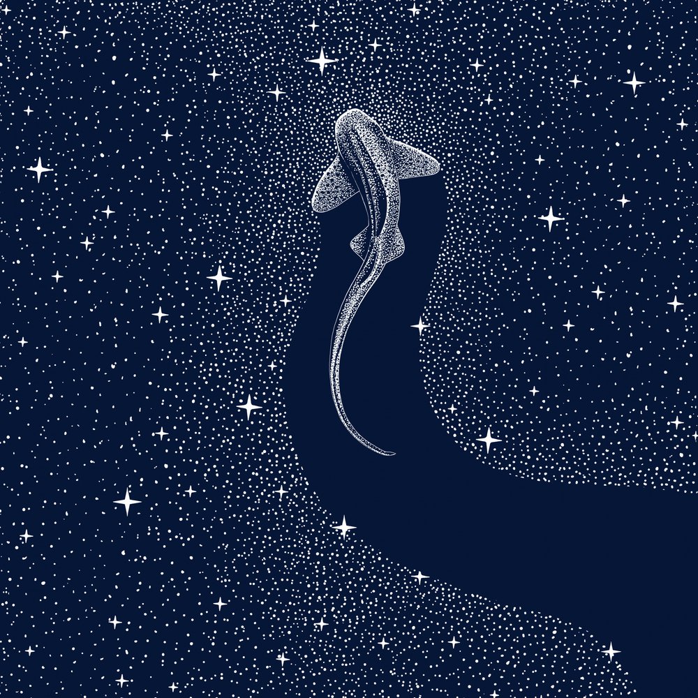 Tiburón Cósmico de Alirıza ÇAKIR