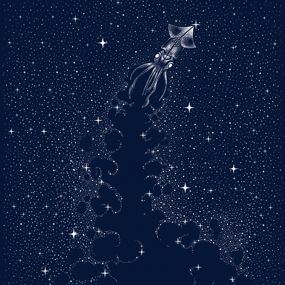 El ascenso del calamar cósmico de Alirıza ÇAKIR