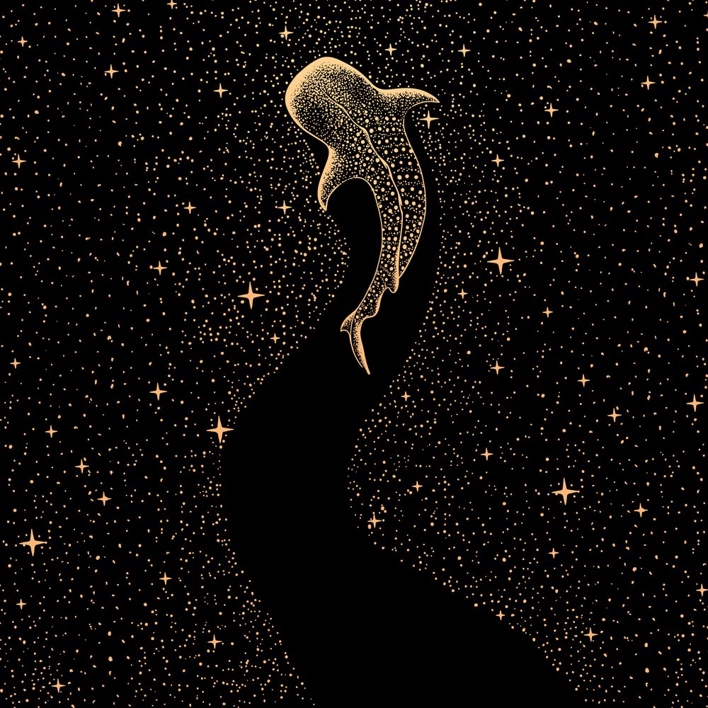 Tiburón ballena cósmico de Alirıza ÇAKIR