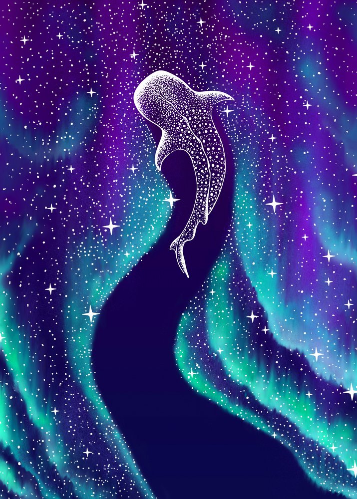 Aurora boreal y tiburón ballena de Alirıza ÇAKIR