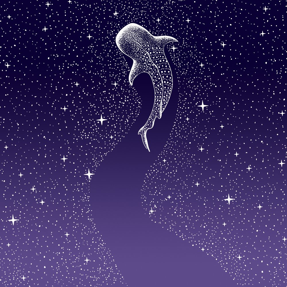 Star Eater: degradado de azul oscuro a morado de Alirıza ÇAKIR