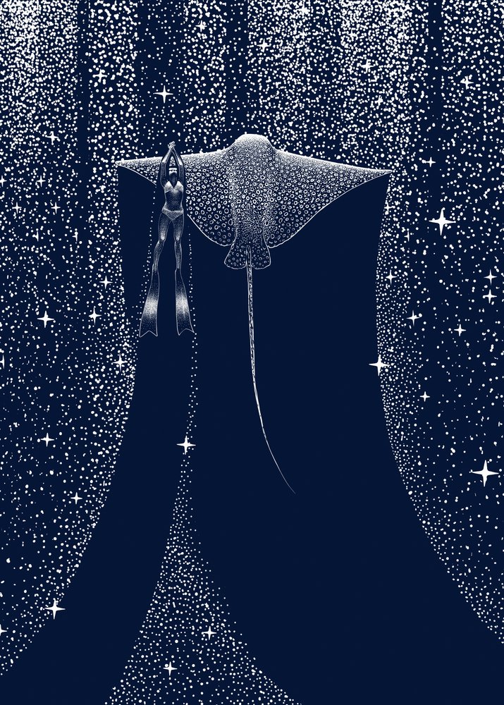 Compañero de Starlit Ray de Alirıza ÇAKIR