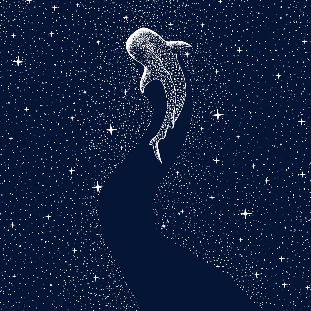 Tiburón ballena estrellado de Alirıza ÇAKIR