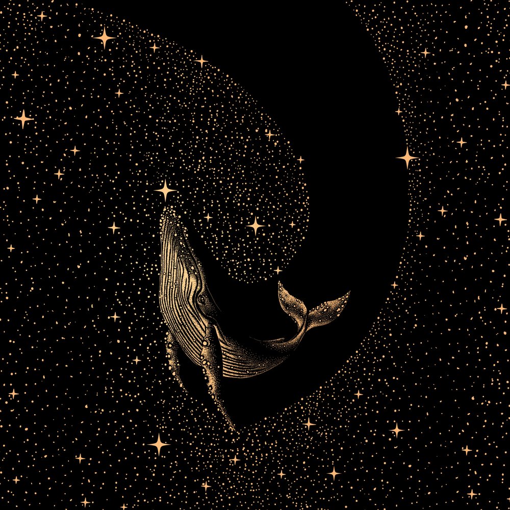 Una ballena entre las estrellas de Alirıza ÇAKIR