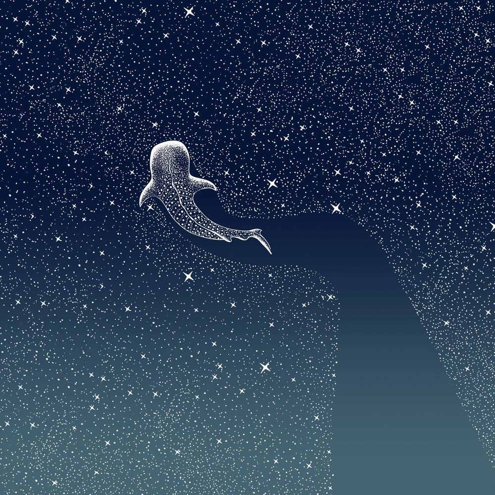 La Galaxia del Tiburón Ballena de Alirıza ÇAKIR