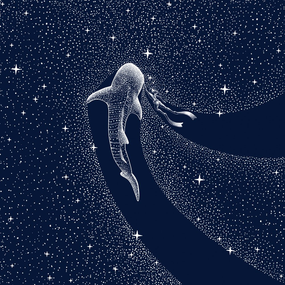 Viaje por la Galaxia del Tiburón Ballena de Alirıza ÇAKIR