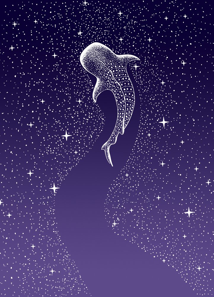 Nado con tiburones ballena en la Galaxia de Alirıza ÇAKIR