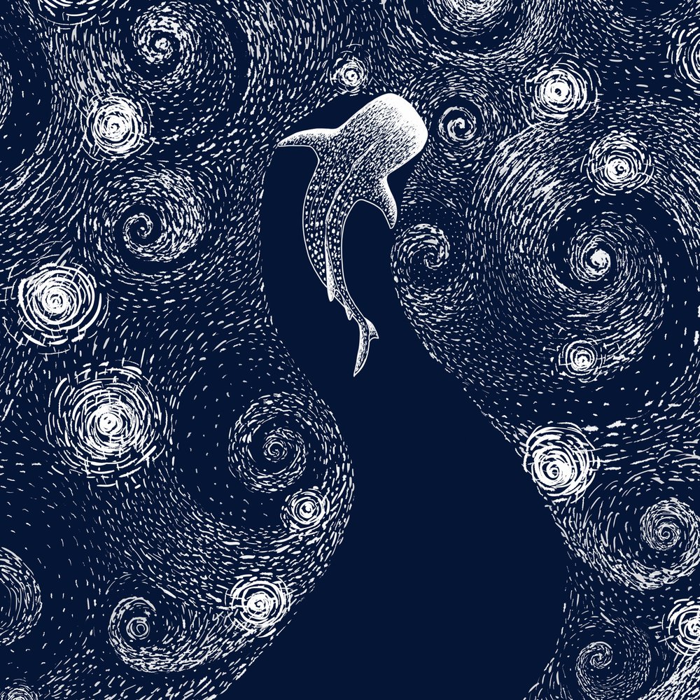 Tiburón ballena en el océano estrellado de Alirıza ÇAKIR