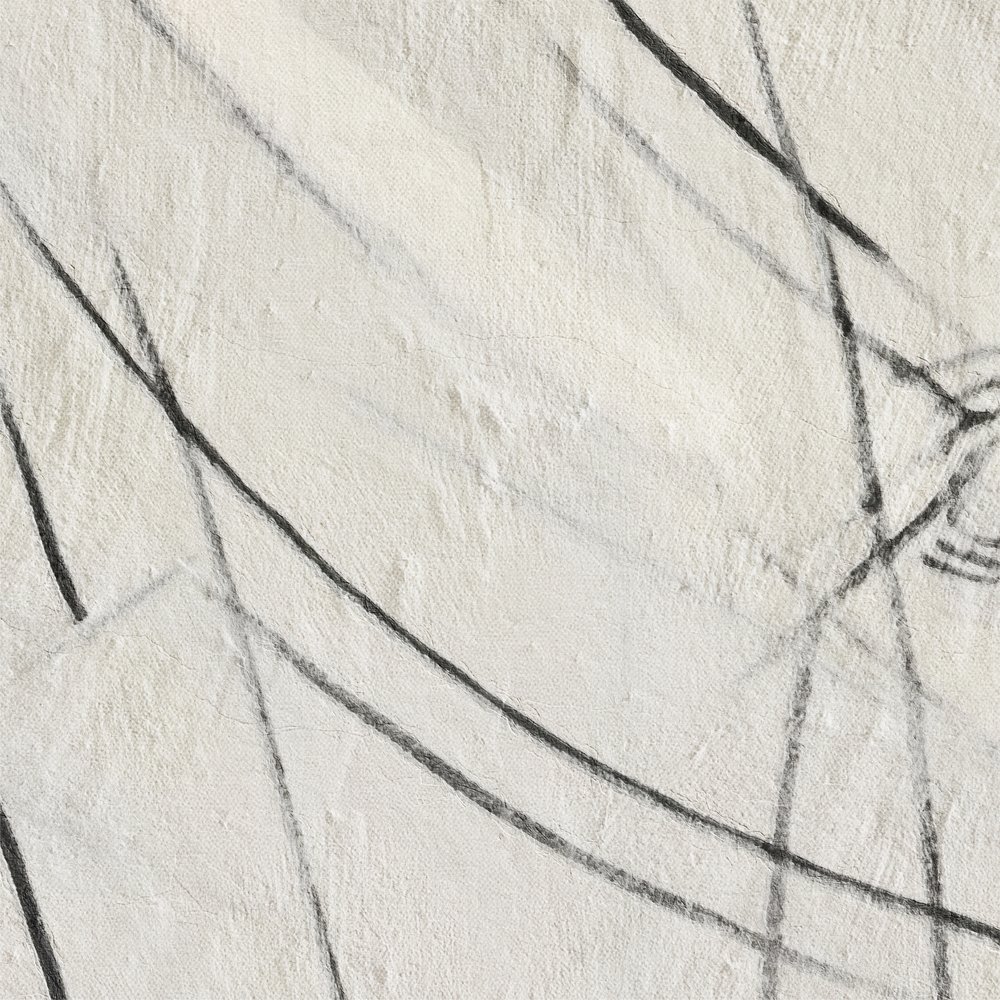 Líneas negras abstractas de Alma