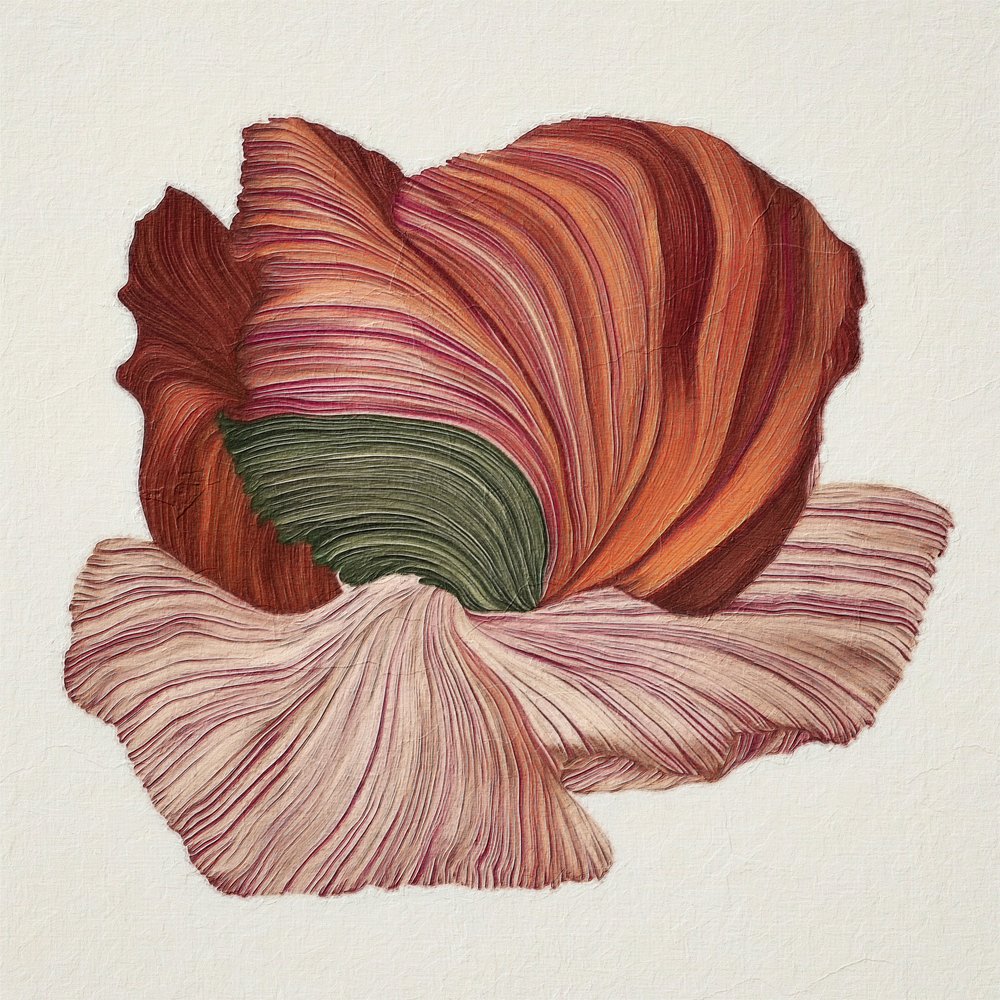 Floración orgánica llena de color de Alma