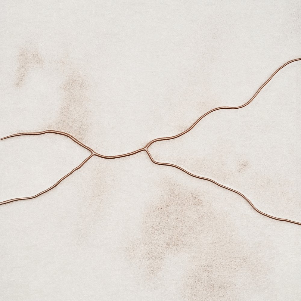 Flujo orgánico delicado de Alma