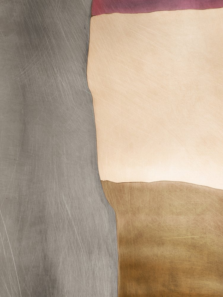 Campos de color orgánicos de Alma