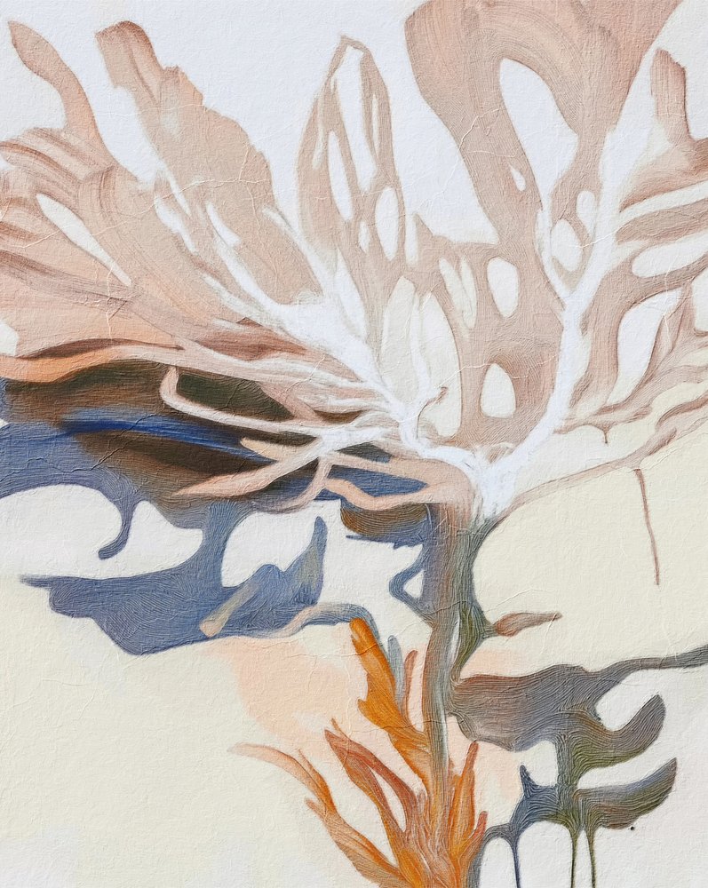 Formas orgánicas fluidas de Alma