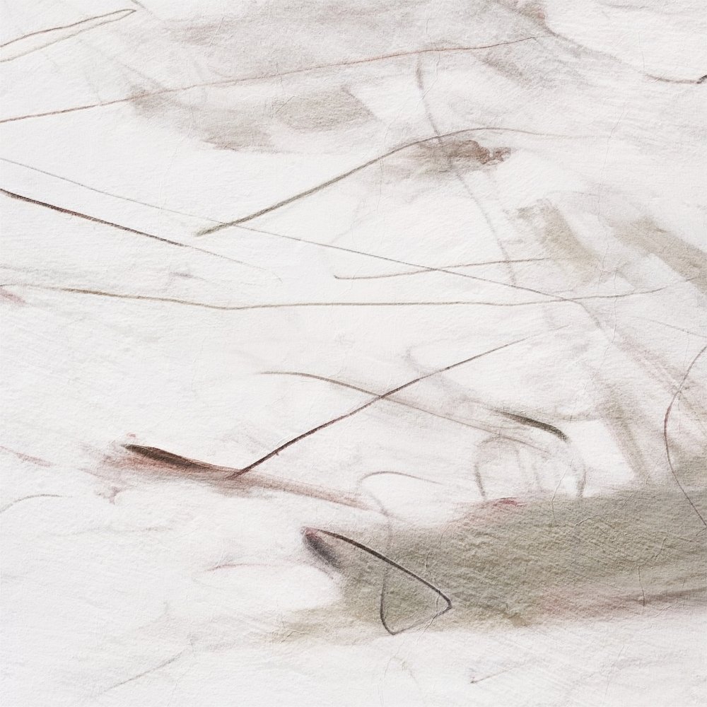 Líneas fluidas y sutiles de Alma