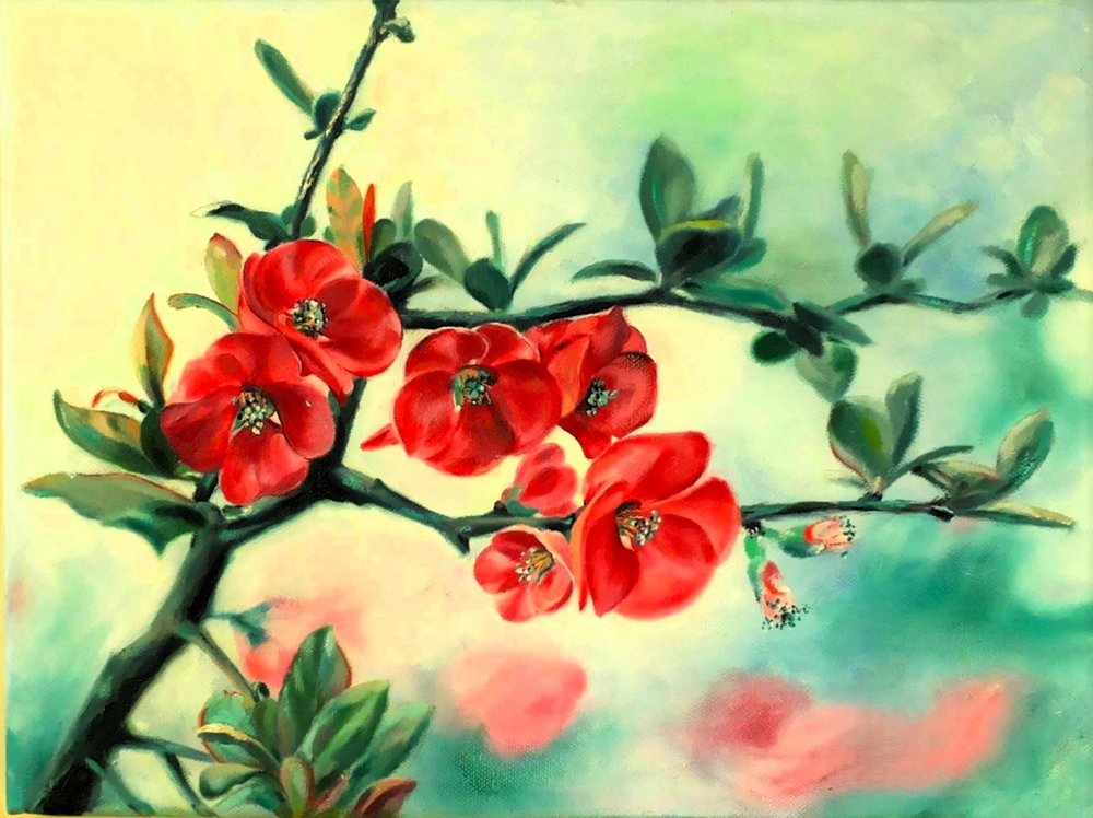 Flores rojas de primavera de Anda Bieza