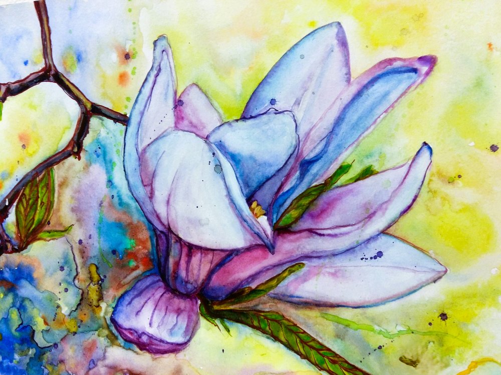 Una flor de magnolia de colores vivos de Anda Bieza