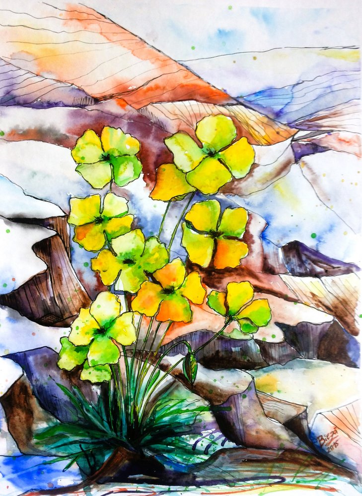 Flores de montaña de vivos colores de Anda Bieza