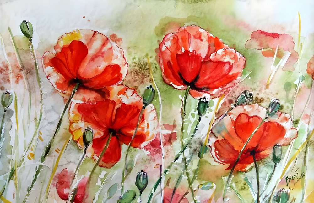 Amapolas en acuarela de vivos colores de Anda Bieza