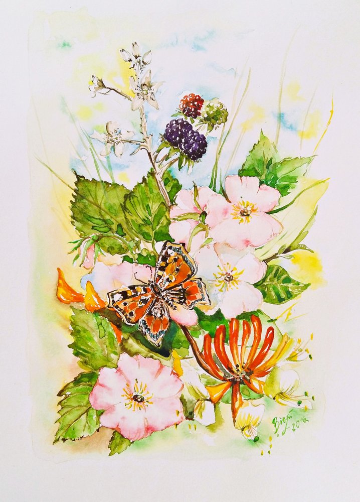 Jardín de mariposas y flores silvestres de Anda Bieza