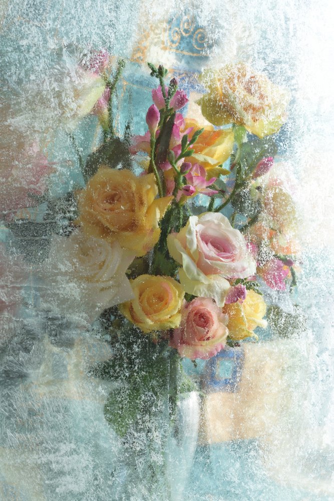 Ramo de rosas escarchadas de Andrey Morozov