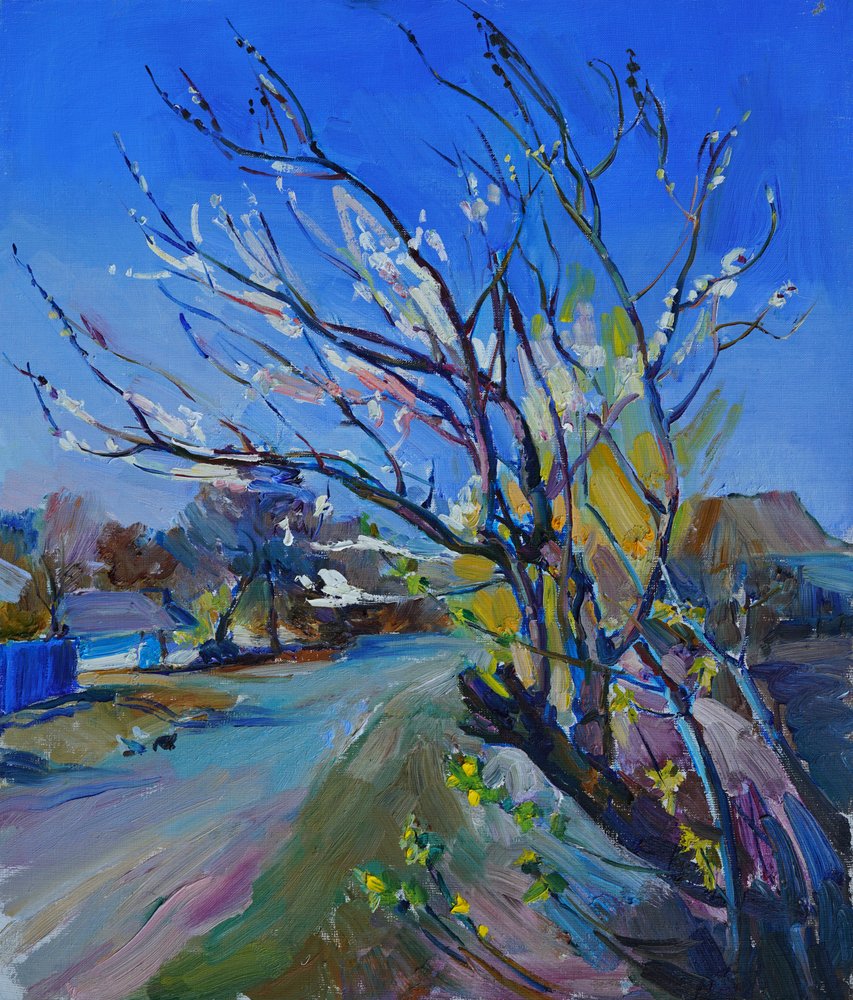 El camino del pueblo en flor de Andrii Kutsachenko