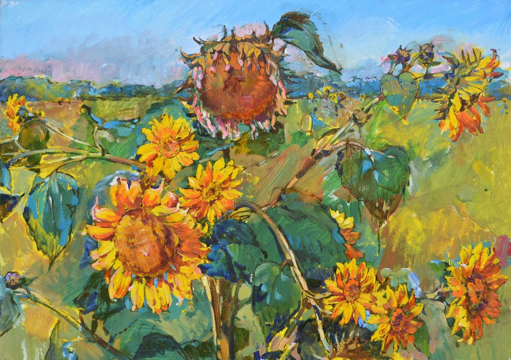 Campo de girasoles dorados de Andrii Kutsachenko