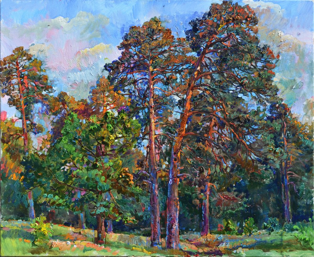 Pinos iluminados por el sol de Andrii Kutsachenko