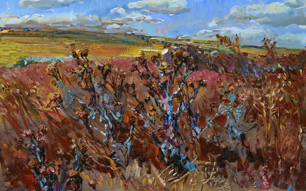 Campo silvestre de otoño de Andrii Kutsachenko