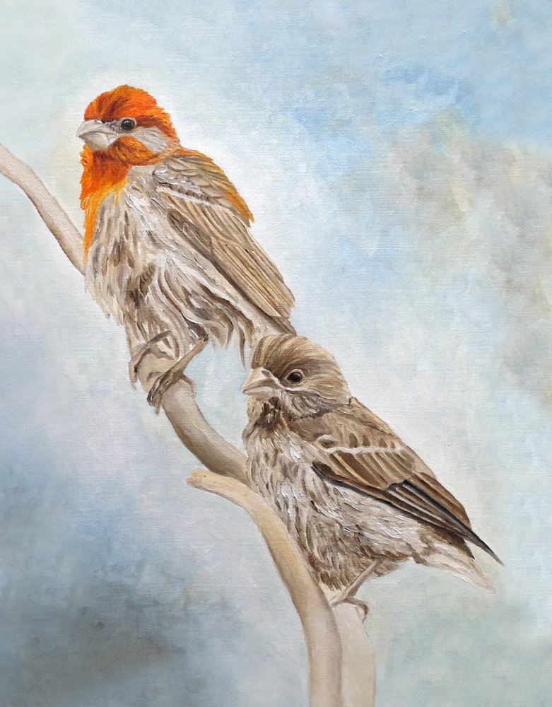  de Angeles M. Pomata