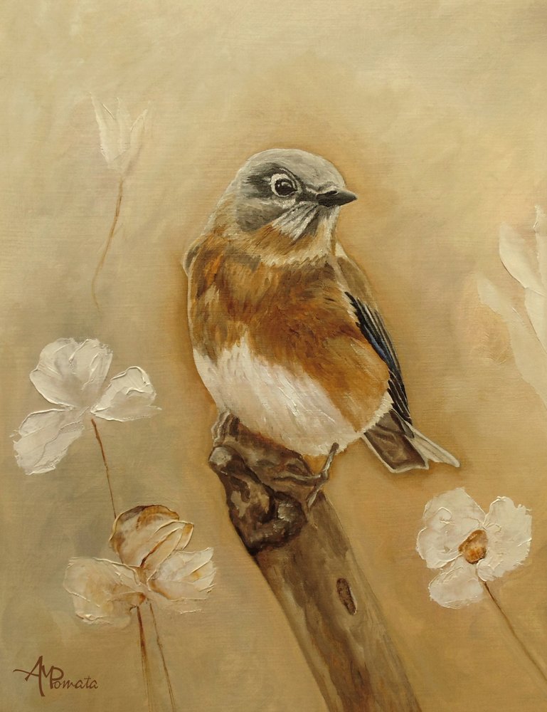 de Angeles M. Pomata