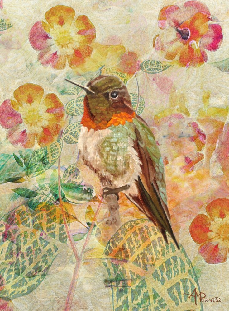 Colibrí y flores de Angeles M. Pomata