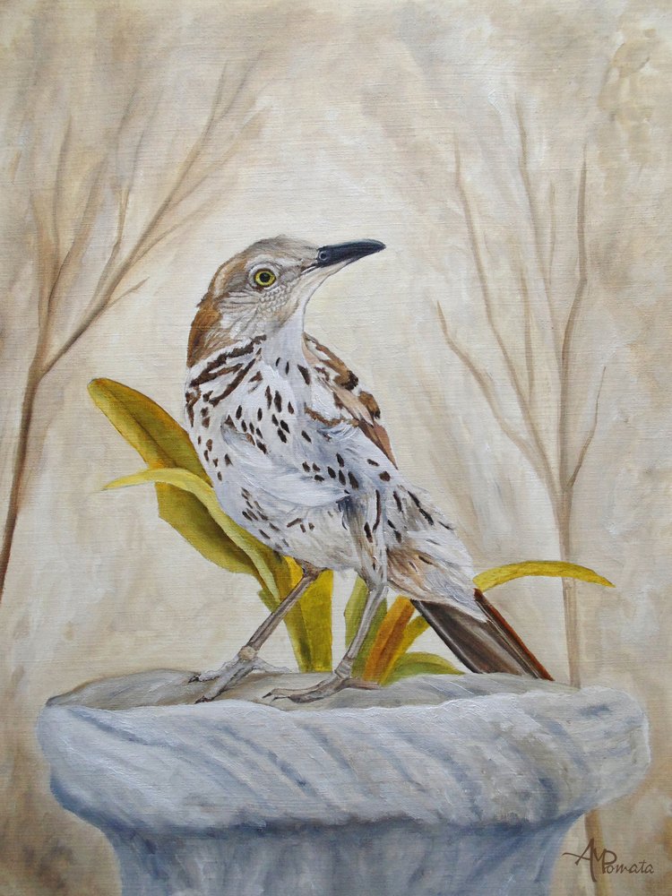  de Angeles M. Pomata