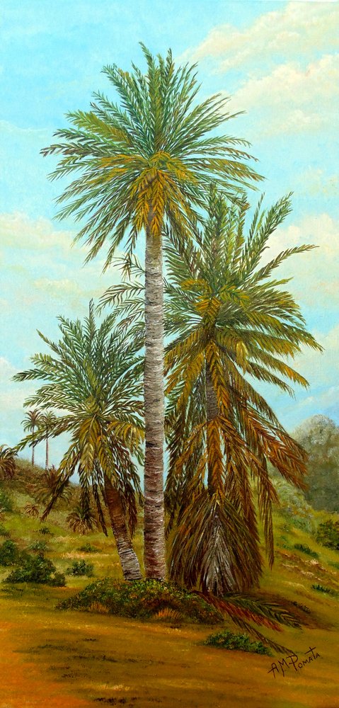 Palmeras del desierto soleado de Angeles M. Pomata