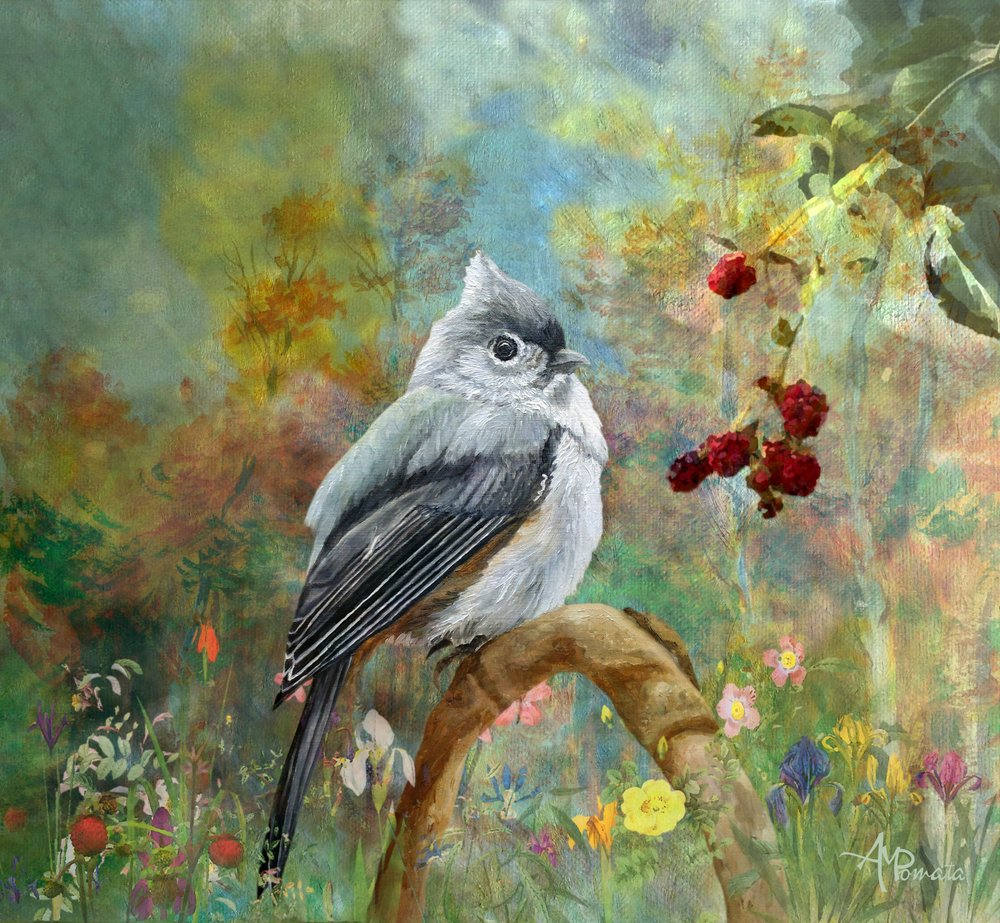  de Angeles M. Pomata