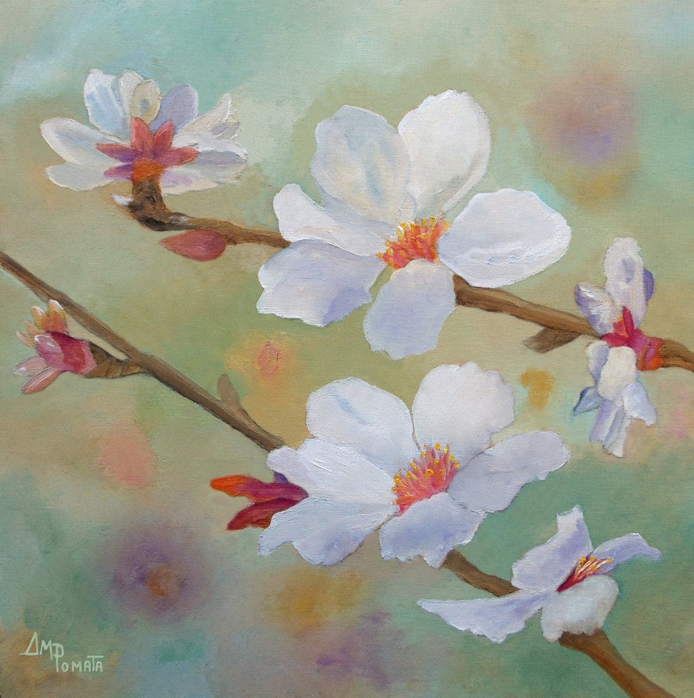 Flores de almendro blancas de Angeles M. Pomata