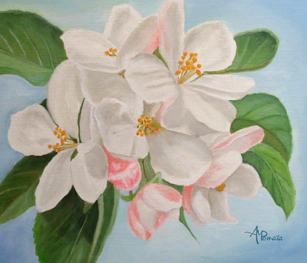  de Angeles M. Pomata