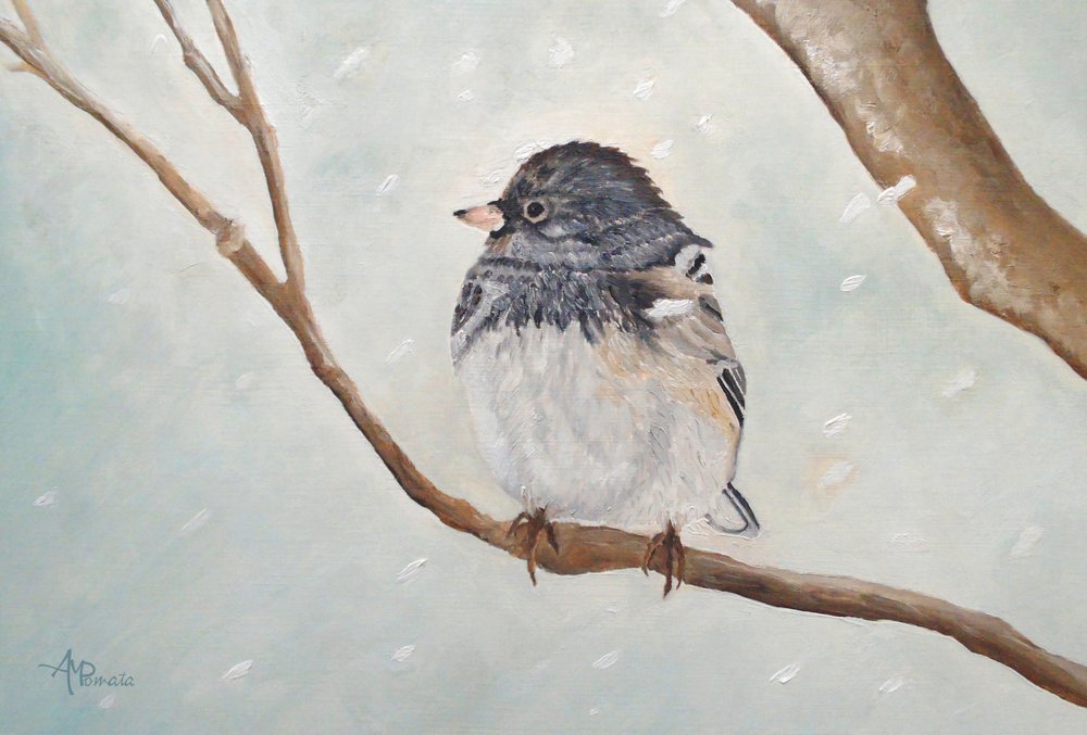  de Angeles M. Pomata