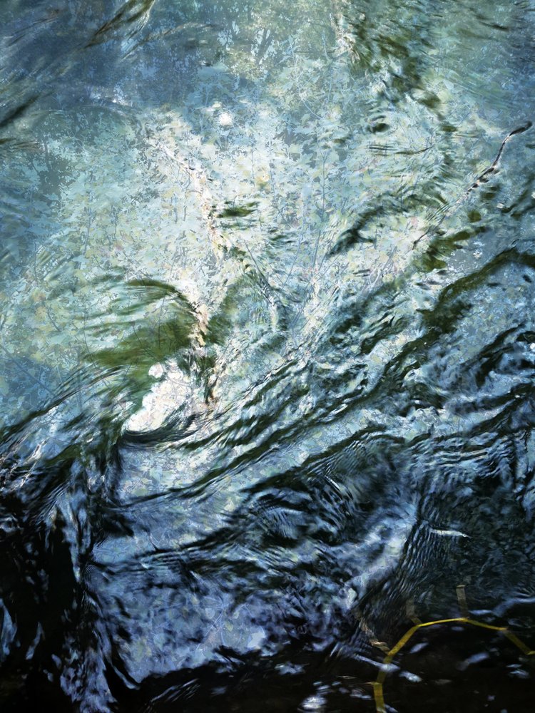 Ondas que fluyen en el agua de Angelo Cerantola