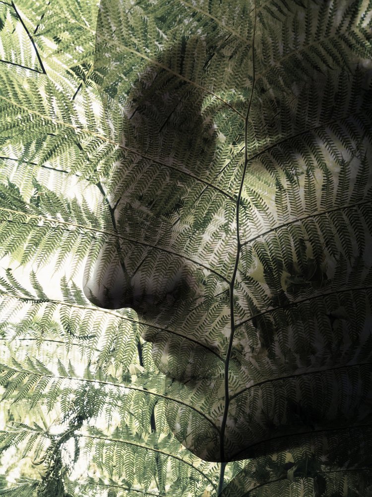 Perfil botánico del rostro de Angelo Cerantola