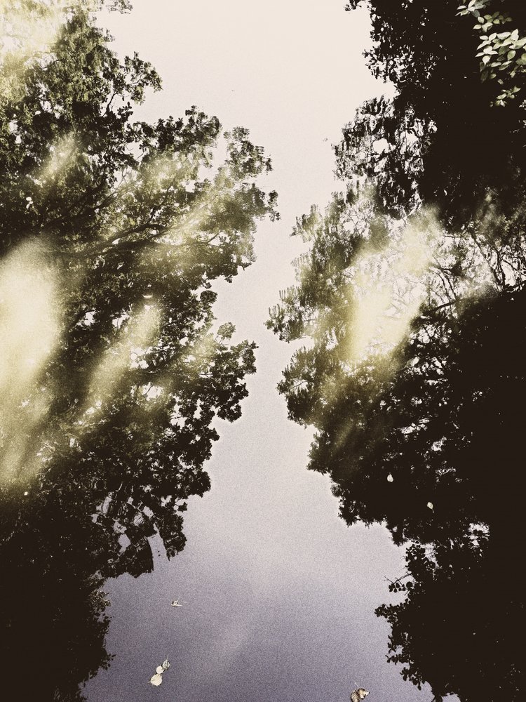 El cielo reflejado de la naturaleza de Angelo Cerantola
