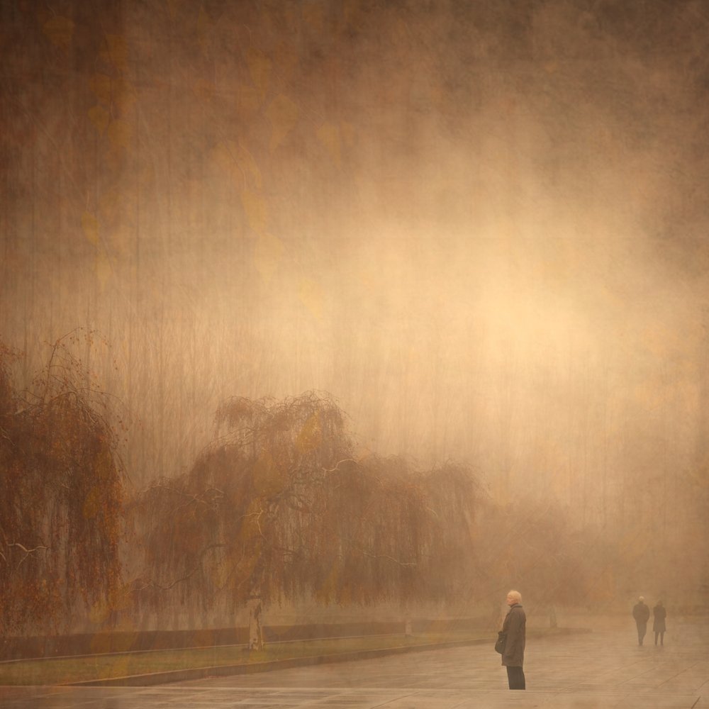 Un paseo otoñal de ensueño de Anja Buehrer