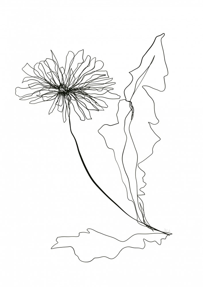 Dibujo lineal de un diente de león de Ankie Kooi