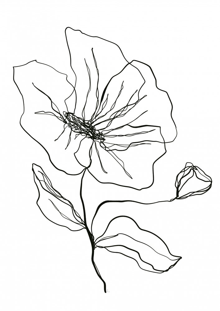 Dibujo de una flor delicada de Ankie Kooi