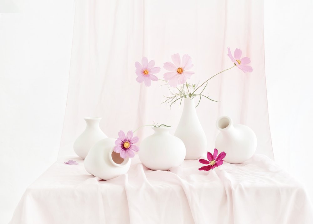 Naturaleza muerta con cosmos rosados de Anna Qu