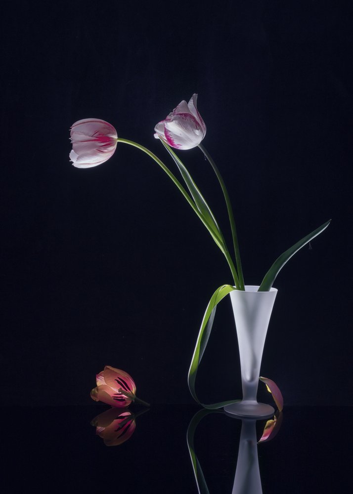 Naturaleza muerta con tulipanes elegantes de Anna Qu