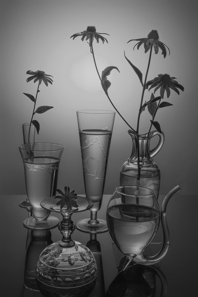 Flores monocromáticas y cristal de Anna Qu