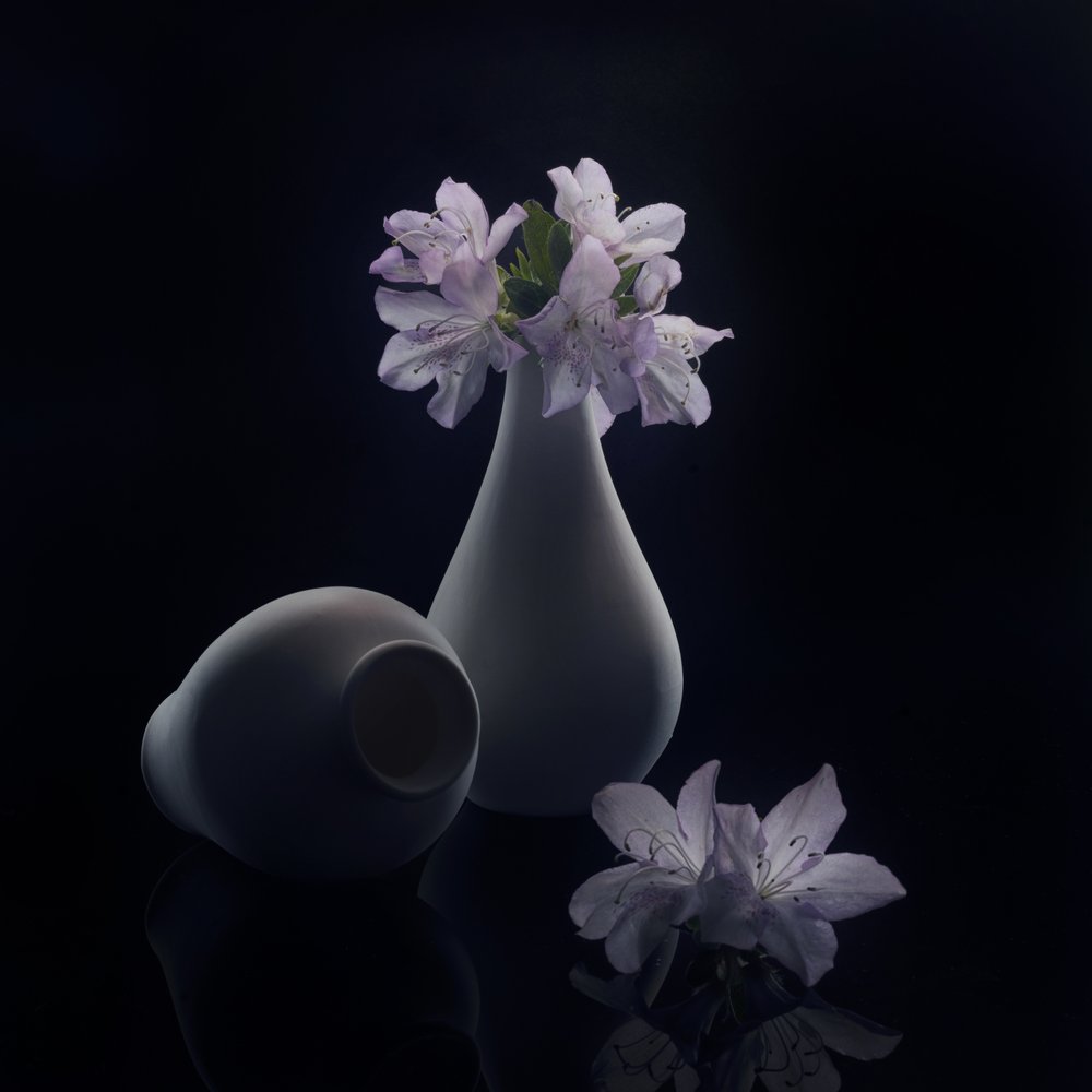 Flores y jarrones de Moody de Anna Qu